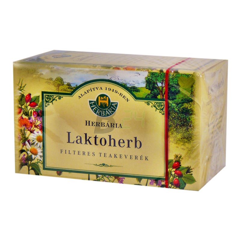 Herbária laktoherb tea boritékos (20 filter) ML000717-13-1