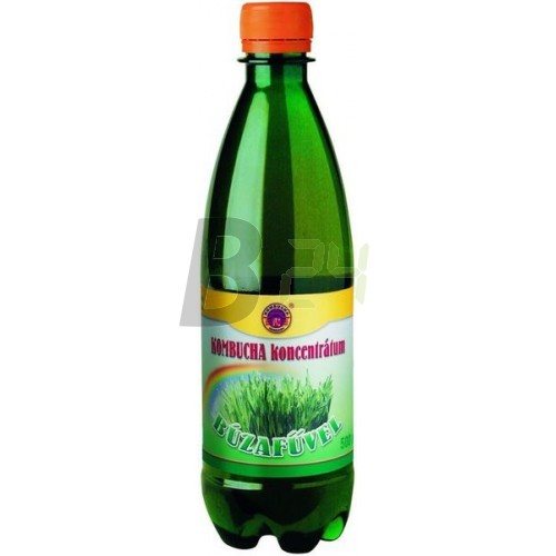 Kombucha tea koncentrátum búzafü 500 ml (500 ml) ML013908-3-7