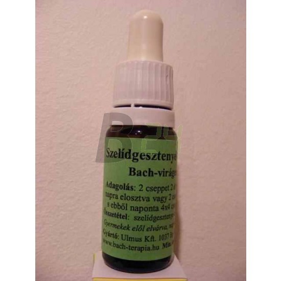 Bach virágeszencia szelídgesztenye (10 ml) ML058837-110-1