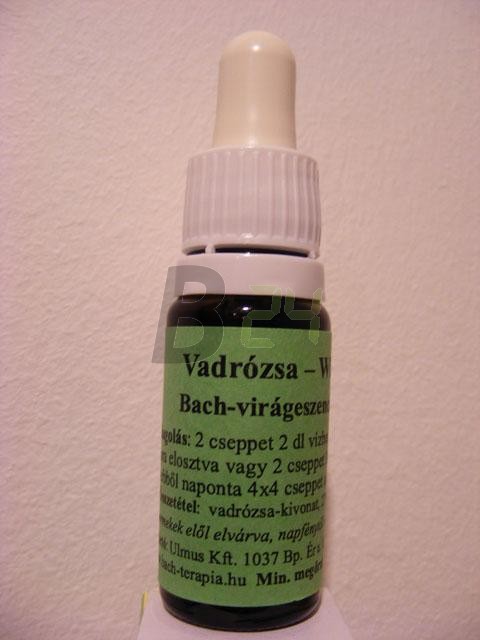 Bach virágeszencia vadrózsa (10 ml) ML058840-110-1