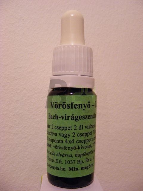 Bach virágeszencia vörösfenyő (10 ml) ML058867-110-1