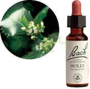 Bach virágeszencia magyal (10 ml) ML058868-110-1