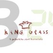 Kingglas fürdökavics narancs 500 g (500 g) ML060274-25-4