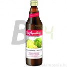 Dr.steinb. bio savanyúkáposztalé 750 ml (750 ml) ML001115-9-9