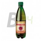 Kombucha tea koncentrátum 500 ml (500 ml) ML001165-3-7