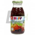 Hipp 8003 alma-szőlő-feketeribizli ital (200 ml) ML005682-10-2