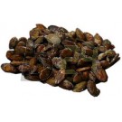 Bajor tökmag fahéjas (100 g) ML007517-28-6