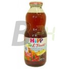 Hipp 8410 csipkebogyóital gyümölcslével (500 ml) ML035693-8-10