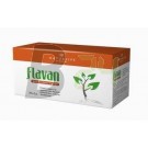 Flavan gyümölcstea filteres (20 filter) ML035772-12-8