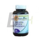 Puritans p. chelated calcium-magn. tabl. (100 db) ML044382-34-9