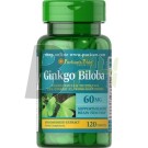 Puritans p. ginkgo biloba tabl. 120 db (120 db) ML045289-34-9