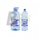 Füredi ion ivóvíz 5000 ml (5000 ml) ML048839-4-8