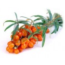 Bio homoktövis héj-mag őrlemény 200 g (200 g) ML051230-16-11