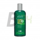 Logona sampon csalán 250 ml (250 ml) ML052214-29-7