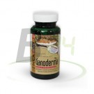 Nextone ganoderma por kapszula (60 db) ML055611-32-2