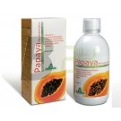 Papaya koncentrátum (500 ml) ML055669-35-4