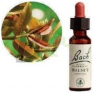 Bach virágeszencia diófa (10 ml) ML058844-110-1