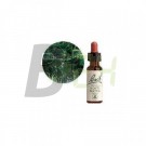 Bach virágeszencia forrásvíz (10 ml) ML058850-110-1