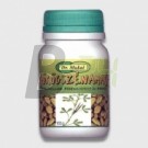 Dr.m porcőr zöldkagyló kapszula (90 db) ML062367-32-9