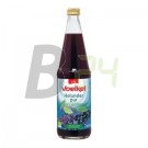 Voelkel bio bodzabogyólé 700 ml (700 ml) ML064093-11-4