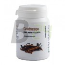 Cordyceps kínai hernyógomba kapszula (60 db) ML068754-110-2