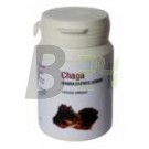Chaga hamvaskéreg gomba kapszula (60 db) ML068755-110-2
