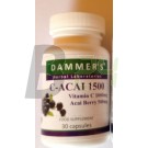 Dammers acai berry kapszula (80 db) ML073647-34-1