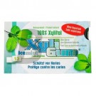 Xyligum rágógumi jégmenta (12 db) ML076345-21-1