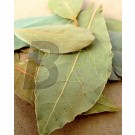 Rapet babérlevél egész 40 g (40 g) ML078002-20-7