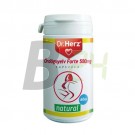 Dr.herz ördögnyelv forte kapszula 60 db (60 db) ML078780-34-1